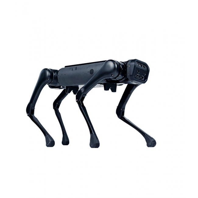 Unitree Aliengo Basic Quadruped Robot Fueling Discovery with