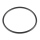 Smooth Belt - 1/8