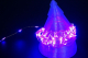 DFRobot - Star Series LED Strand - 100 Purple Pixels
