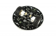 DFRobot - miniQ 2WD Robot Chassis