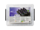 Ozobot Ari Classroom Kit 12 Bots with Cradle