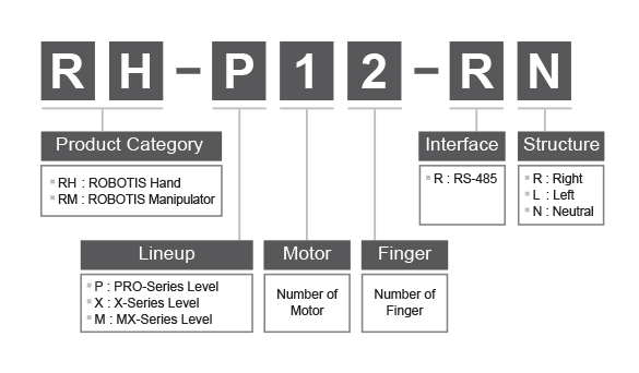 RH-P12-RN Product Category RH Robotis Hand RM Robotis Manipulator Lineup P: Pro-Series Level X: X-Series Level M: MX-Series Level Motor Number Of Motor Finger Number Of Finger Interface R: RS-485 Structure R: Right L: Left N: Neutral