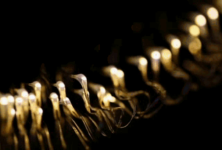 Gravity: Digital LED String Lights (Warm White) For Arduino