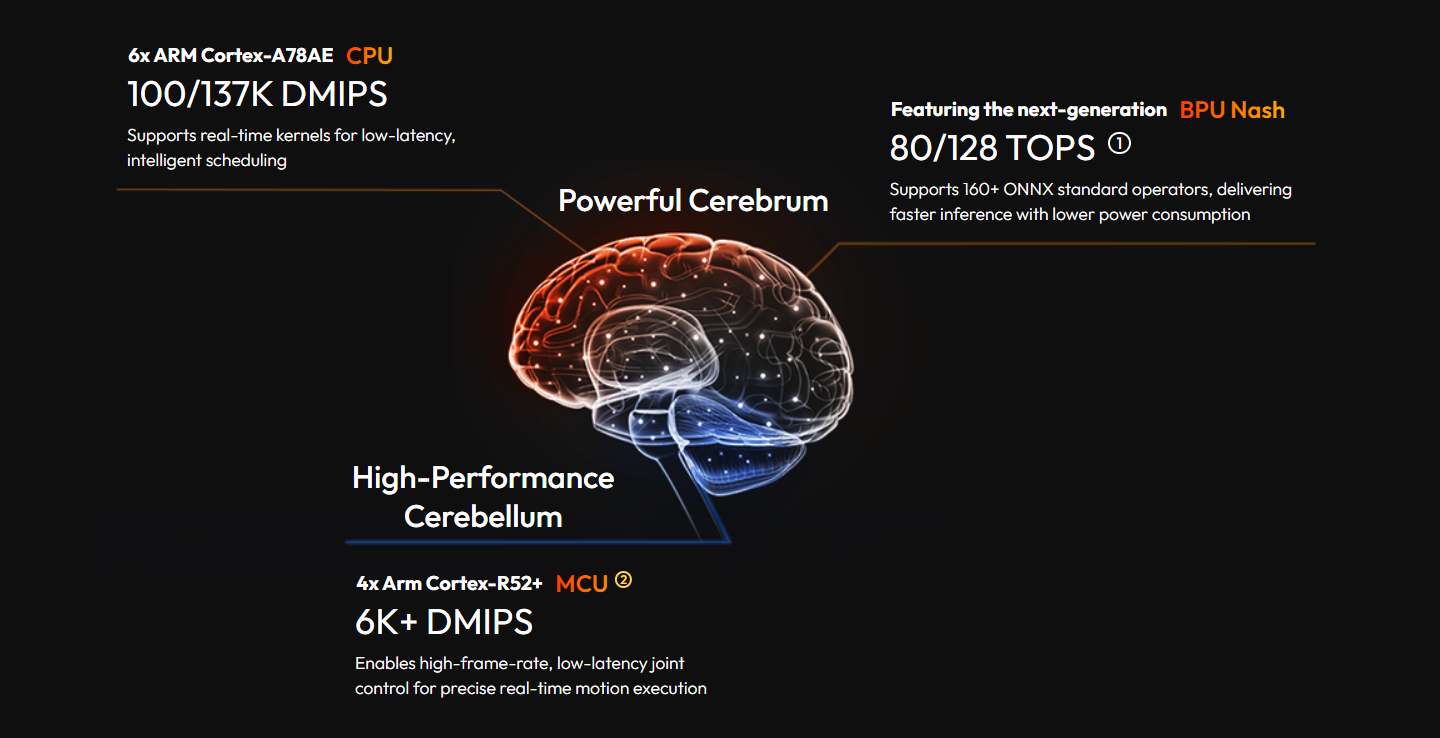RDK S100P Humanoid-Inspired Dual-Brain Architecture