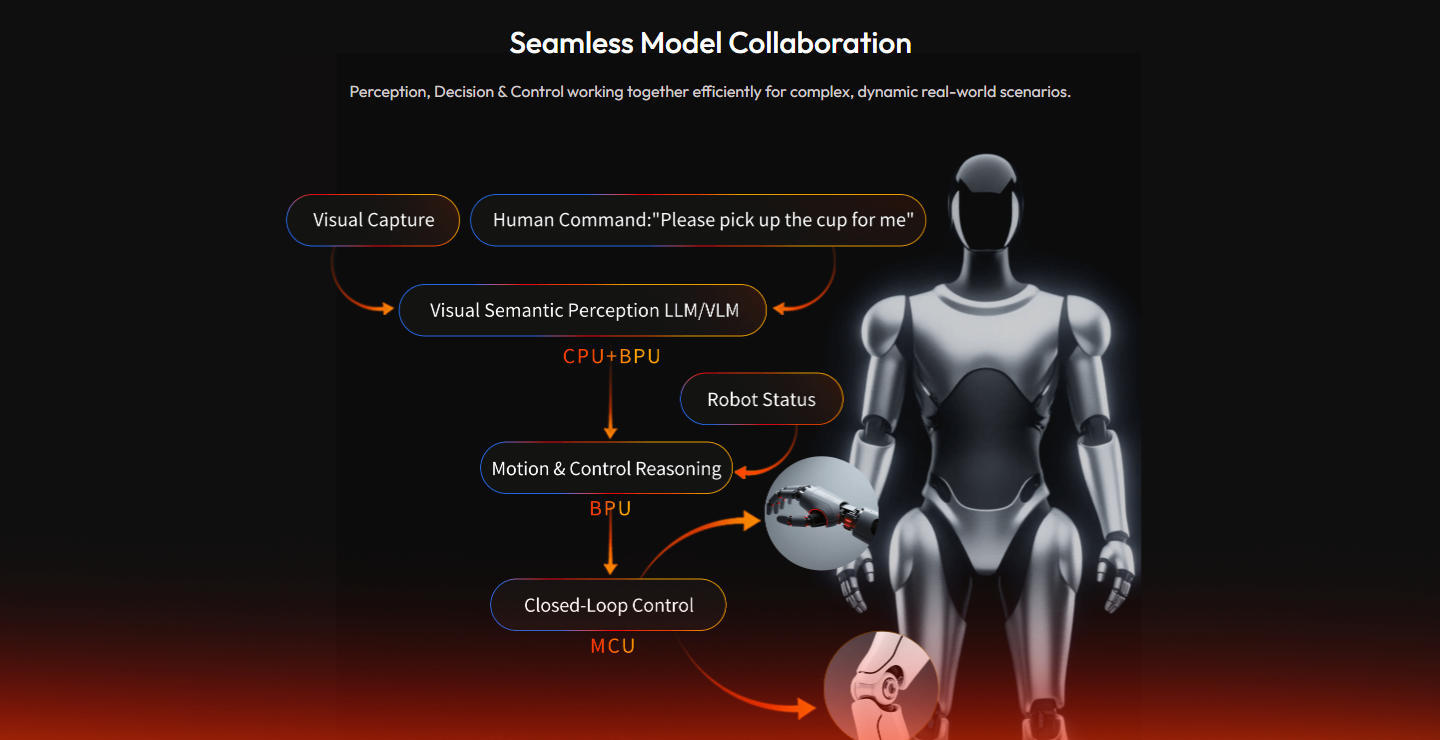 Hardware-Software Collaboration & Ecosystem Support
